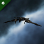 Datei:EVE-Drohne-Gecko.png