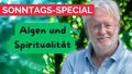Vorschaubild der Version vom 16:31, 12. Jun. 2026