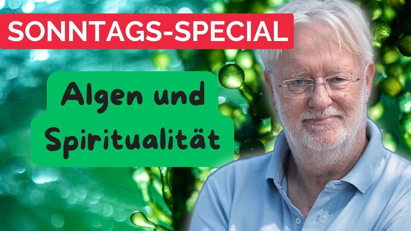 Datei:Thumb-DB-YSXQRaHIL4g.jpg